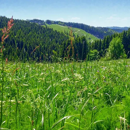 Ferienhauspark Semesterbostad Hasselfelde